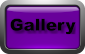 gallery pages