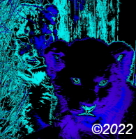 lion