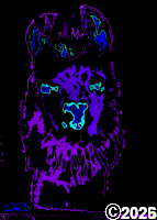 purple lama picture