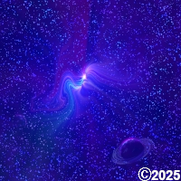 Space Birds