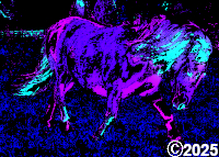 Trotting Pony