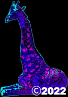 giraffe
