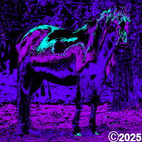 Pretty Purple Horse