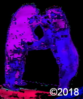 bear