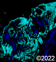 lion