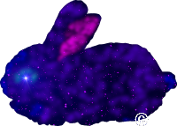 space bunny