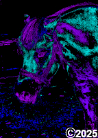 horse