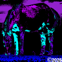 purple grazing horse