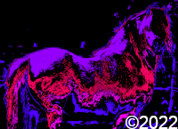 horse art