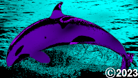 whale