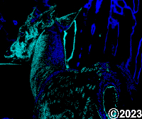 blue deer