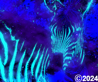 space zebra