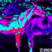 space horses