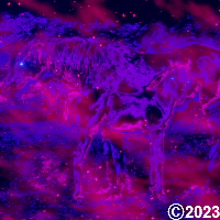 space horses