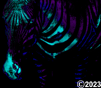zebra