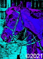 horse