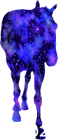 Equus nebula