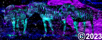 space zebras