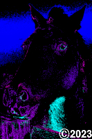 horse