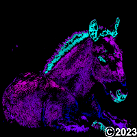 horse