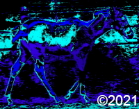 horse
