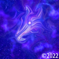 Starry Animal