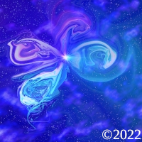 Stellar Fly
