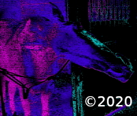 horse