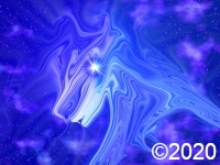Cosmic Dog