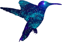 Humming Bird Space-Scape