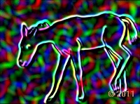 horse