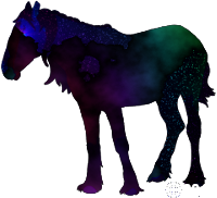 space horse
