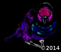 bird