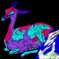 Deer