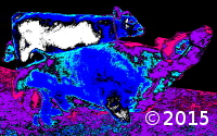 cows