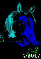 horse