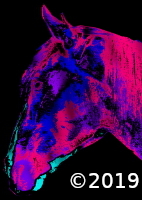horse