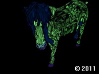 horse picture