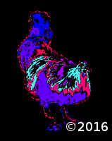 chicken