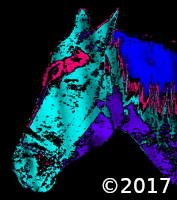 horse