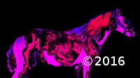 horse