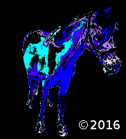 horse