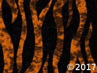 orange zebra strips