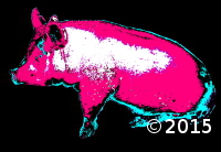Pig