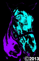 horse picture