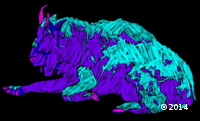 Moutain Goat
