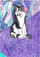 Picture of a Kitty
