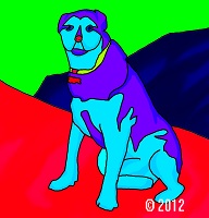 dog picture