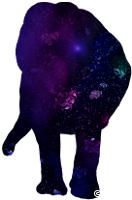 Space Rockin' Pachyderm
