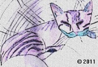 kitten